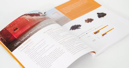 2014 Annual Report