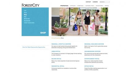 Website Design and Development