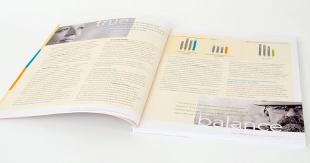 2016 Annual Report