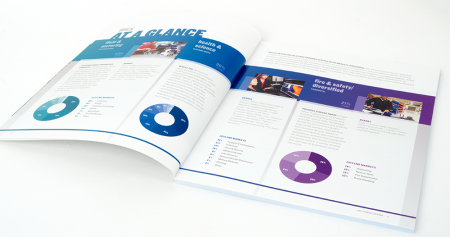 Annual Report Series
